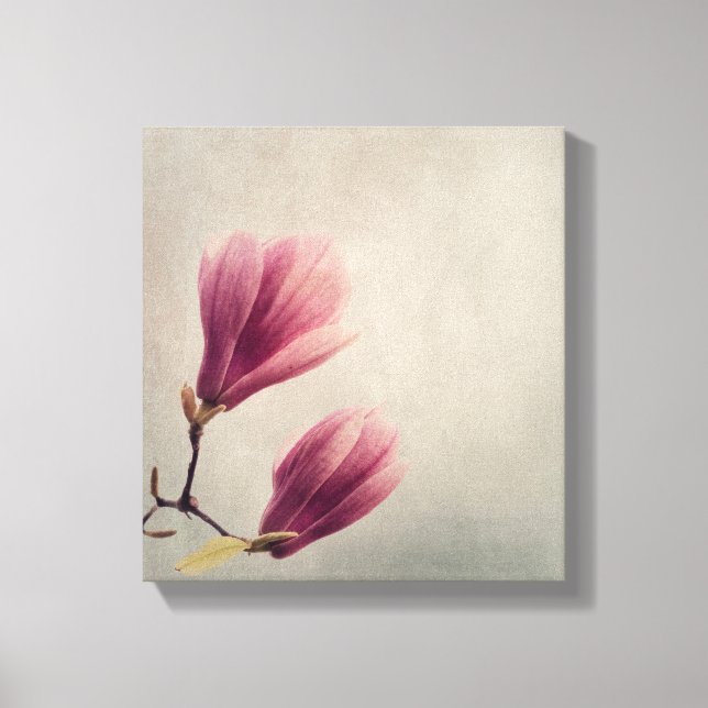Beautiful pastel magnolia flower canvas print (Front)
