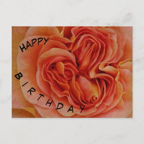 Beautiful Pastel Rose Happy Birthday Postcard