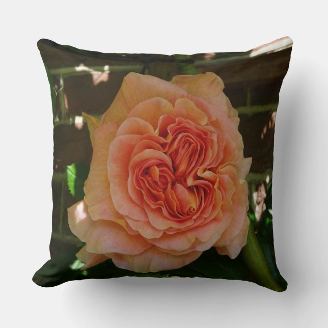 Beautiful Pastel Rose Throw Pillow (Front)