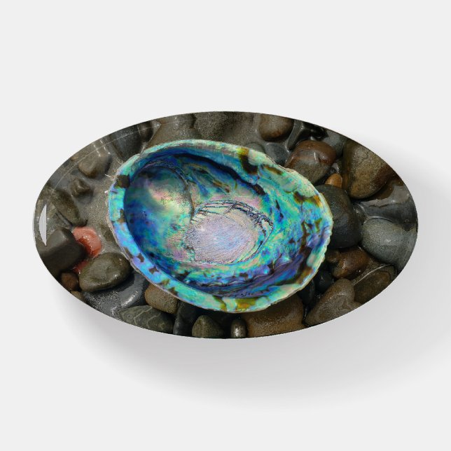 BEAUTIFUL PĀUA SHELL ON STONY SANDS PHOTO NZ BEACH PAPERWEIGHT (Front)