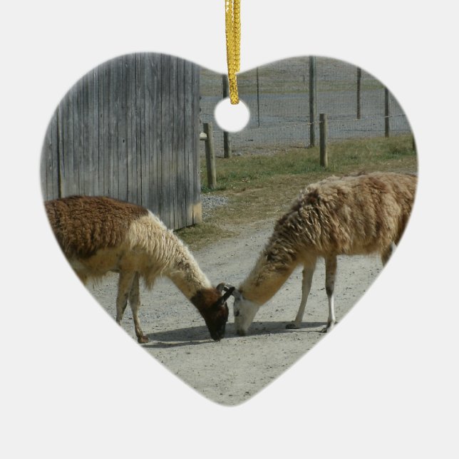 BEAUTIFUL, PEACEFUL, LLAMAS. CERAMIC ORNAMENT (Front)