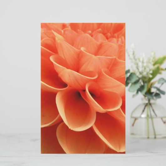 Beautiful Peach Colored Dahlia Flower Petals (Standing Front)