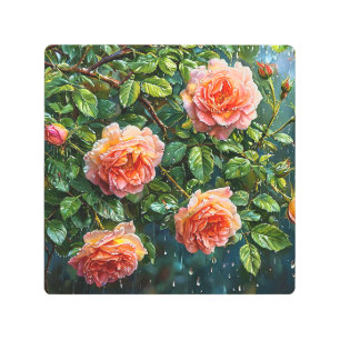 Beautiful Peach Roses on a Rainy Day Metal Print