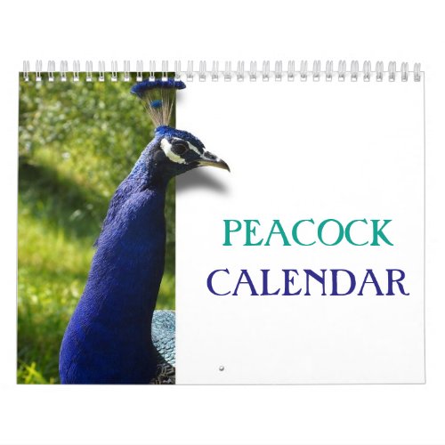 Beautiful Peacock 2023 Calendar