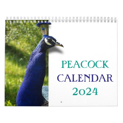 Beautiful Peacock 2024 Calendar