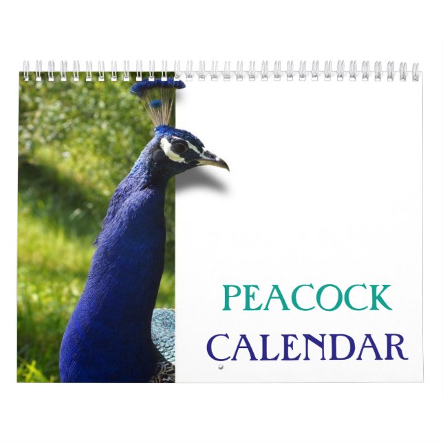 Beautiful Peacock 2025 Calendar (Cover)