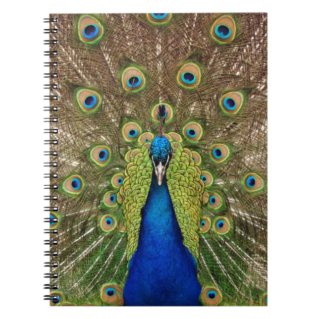 Beautiful peacock and tail feathers print notebook (Front)