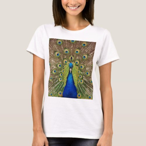 Beautiful peacock and tail feathers print T_Shirt