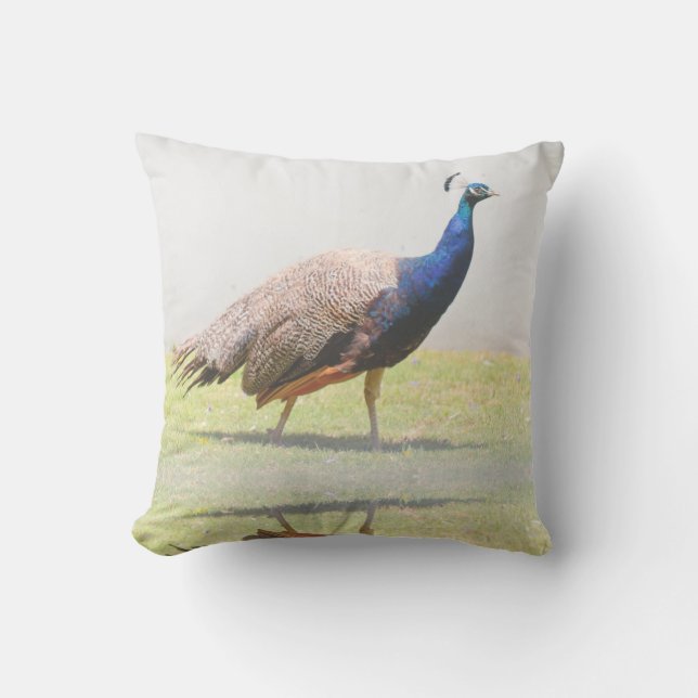 Beautiful Peacock Bird Birds Throw Pillow (Front)