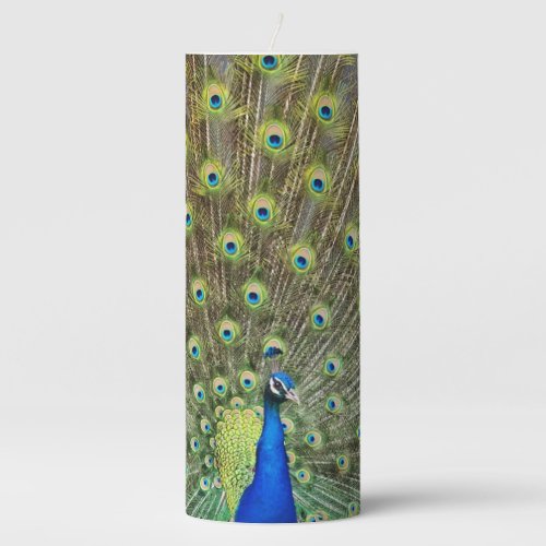 Beautiful peacock bird pillar candle