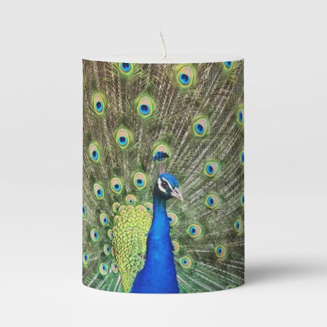 Beautiful peacock bird pillar candle (Front)
