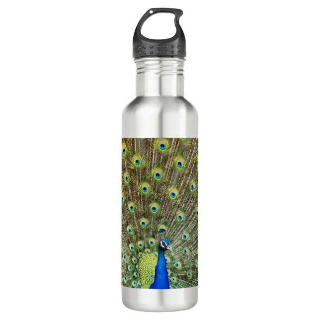 Beautiful peacock bird stainless steel water bottle (Front)