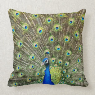 Beautiful peacock bird throw pillow