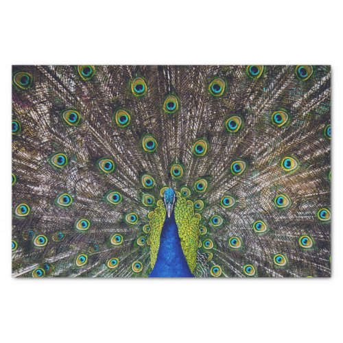 Beautiful Peacock bird Tissue Paper