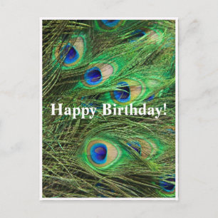 Beautiful Peacock Customizable Birthday Postcard