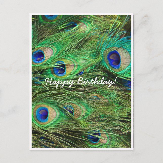Beautiful Peacock Customizable Postcard (Front)