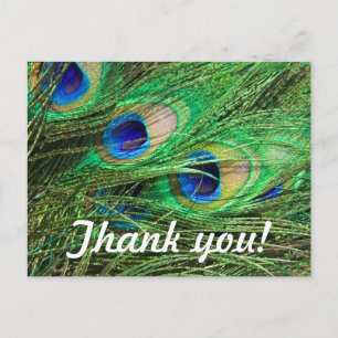 Beautiful Peacock Customizable Thank You Card