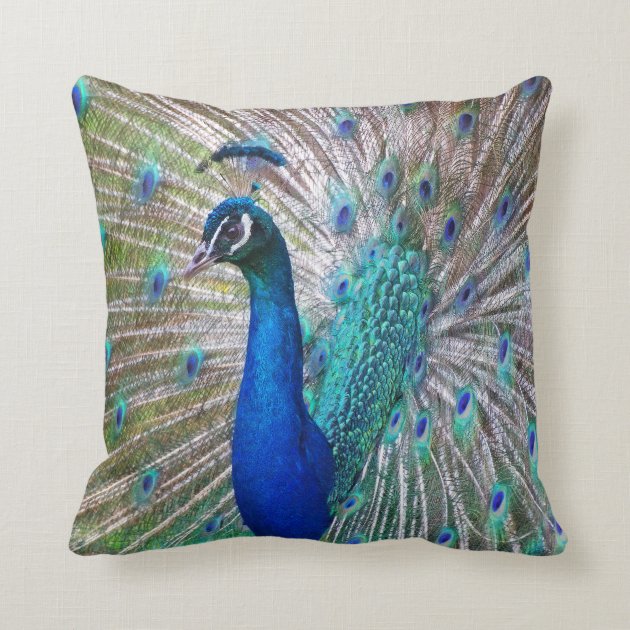 Beautiful Peacock Decorative Throw Pillow Zazzle Com   Beautiful Peacock Decorative Throw Pillow R1b0865a9d472447f9a0ca30b4ad141d8 6s309 8byvr 630 