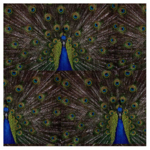 Beautiful Peacock Fabric