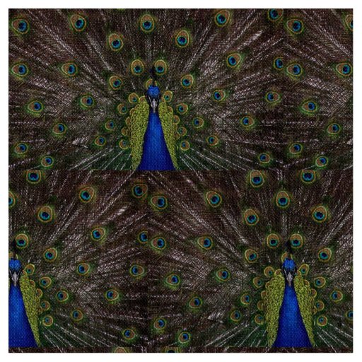Beautiful Peacock Fabric