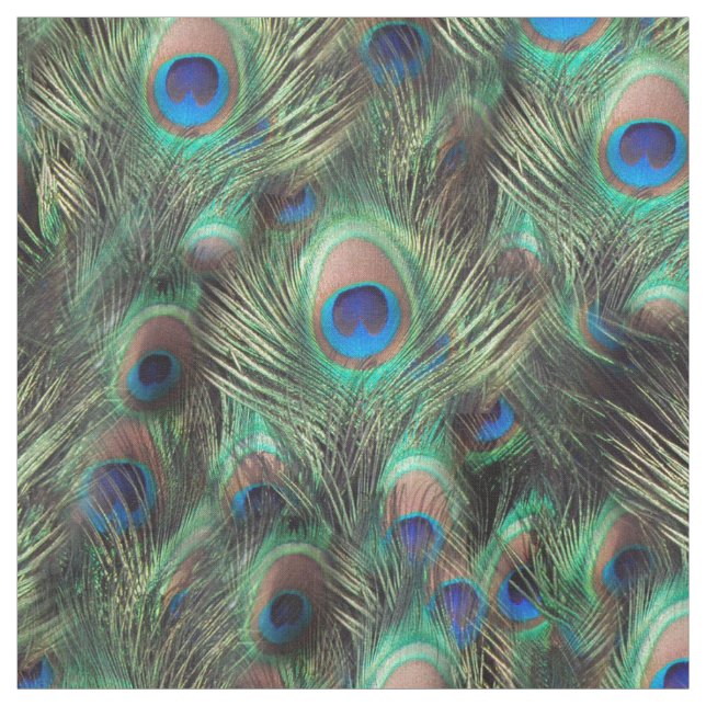 Beautiful Peacock Feather Green Blue Animal Print Fabric (Swatch)