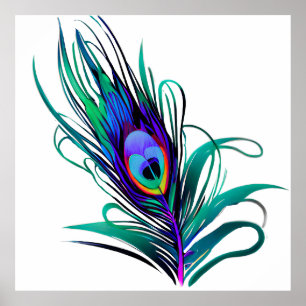 Beautiful Peacock Feather Poster