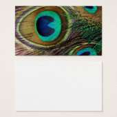 Beautiful Peacock Feathers (Front & Back)