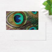 Beautiful Peacock Feathers (Desk)