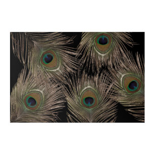 Beautiful peacock feathers acrylic print