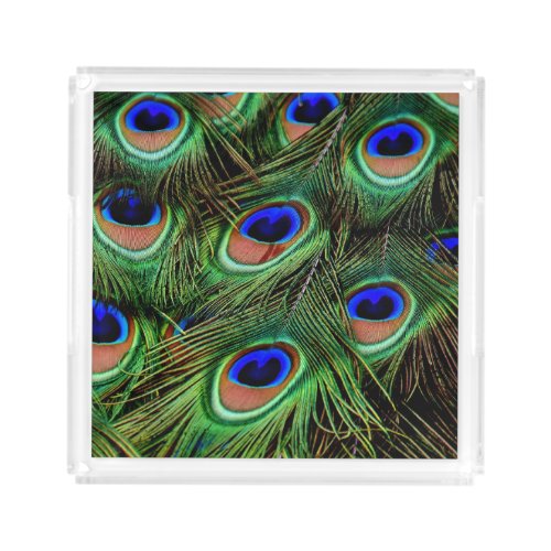 Beautiful Peacock Feathers  Acrylic Tray