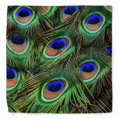 Beautiful Peacock Feathers  Bandana