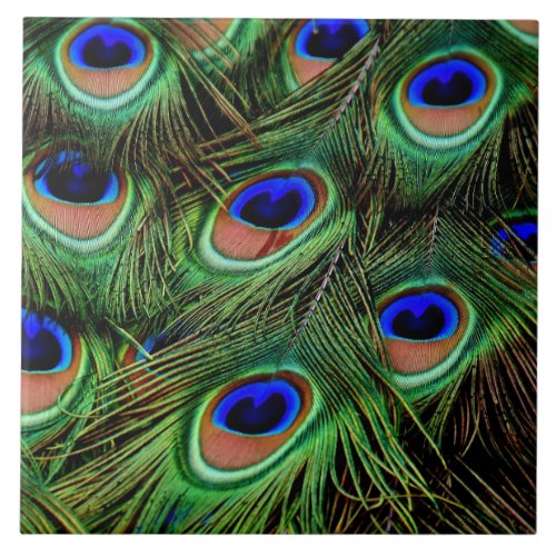 Beautiful Peacock Feathers  Ceramic Tile
