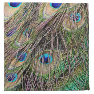 Beautiful Peacock Feathers Cloth Napkin