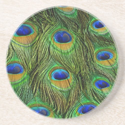 Beautiful Peacock Feathers Coaster