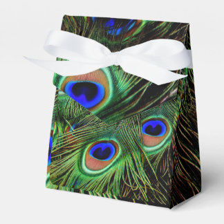 Beautiful Peacock Feathers  Favor Boxes
