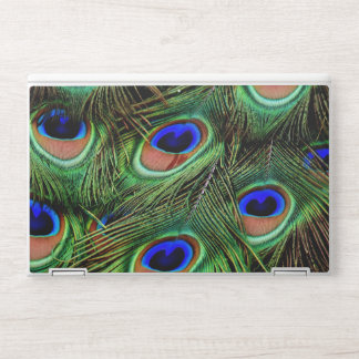Beautiful Peacock Feathers  HP Laptop Skin