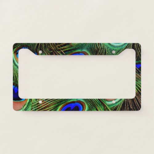 Beautiful Peacock Feathers  License Plate Frame