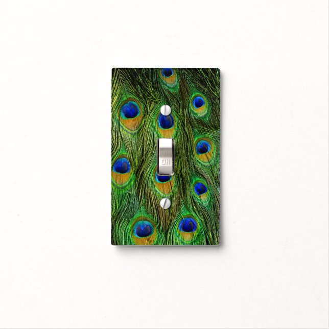 Beautiful Peacock Feathers Light Switch Cover (In Situ)