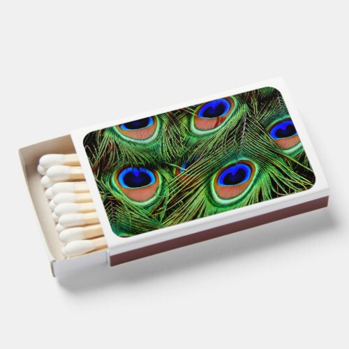 Beautiful Peacock Feathers  Matchboxes