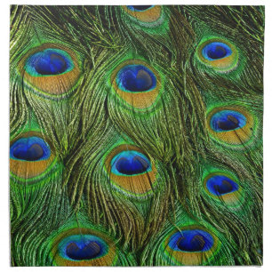 Beautiful Peacock Feathers Napkin