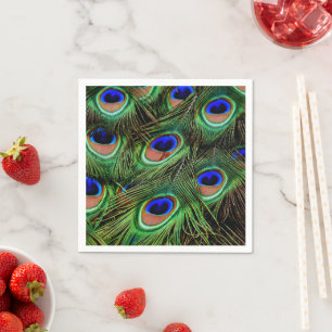 Beautiful Peacock Feathers Napkins