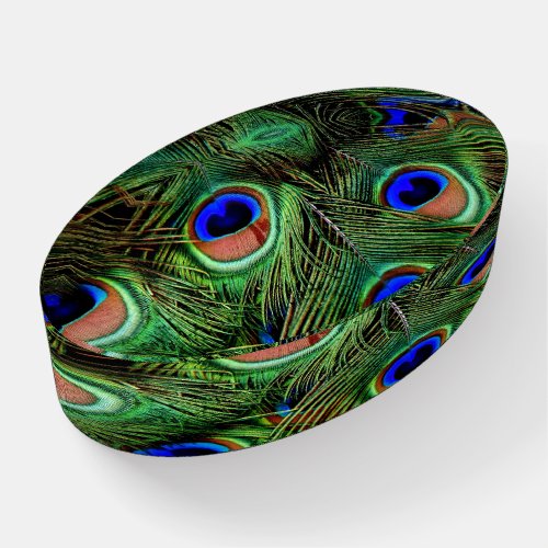 Beautiful Peacock Feathers  Paperweight