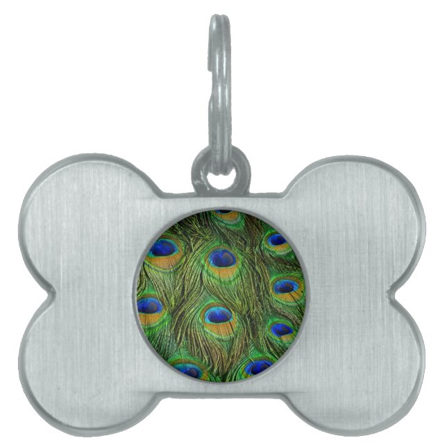 Beautiful Peacock Feathers Pet Name Tag (Front)