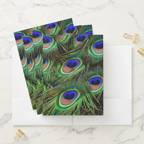 Beautiful Peacock Feathers  Pocket Folder