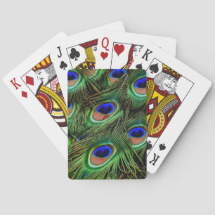 Beautiful Peacock Feathers Poker Cards
