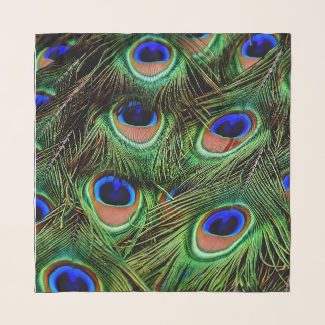 Beautiful Peacock Feathers  Scarf (Front)