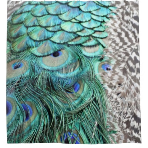 Beautiful peacock Feathers Shower Curtain
