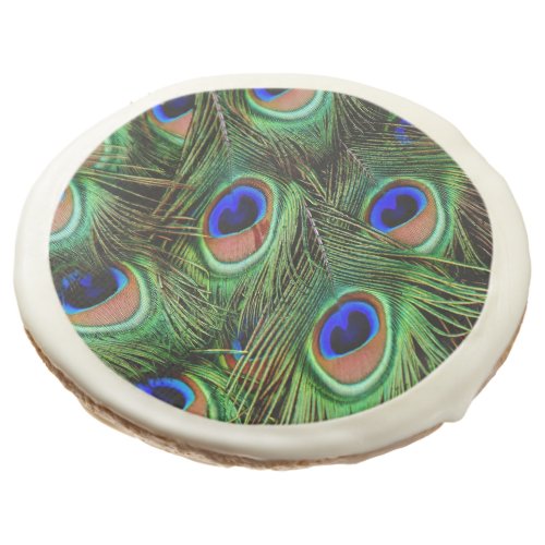 Beautiful Peacock Feathers  Sugar Cookie