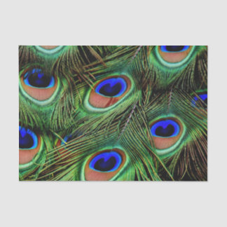 Beautiful Peacock Feathers  Tissue Paper