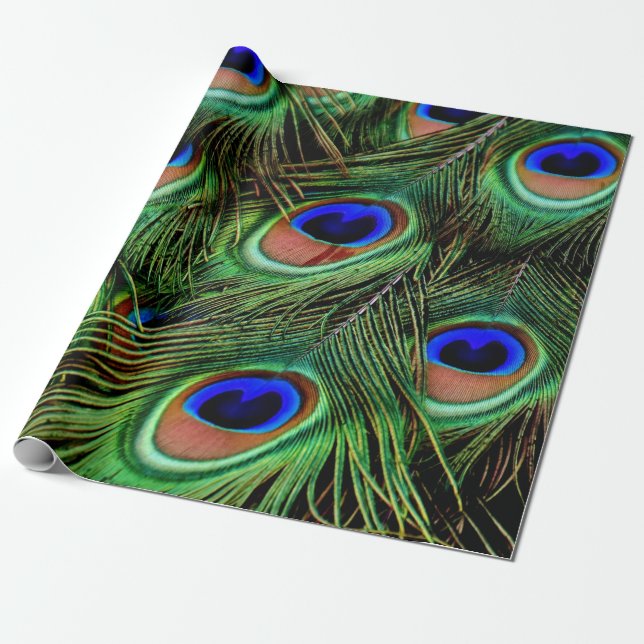 Beautiful Peacock Feathers  Wrapping Paper (Unrolled)